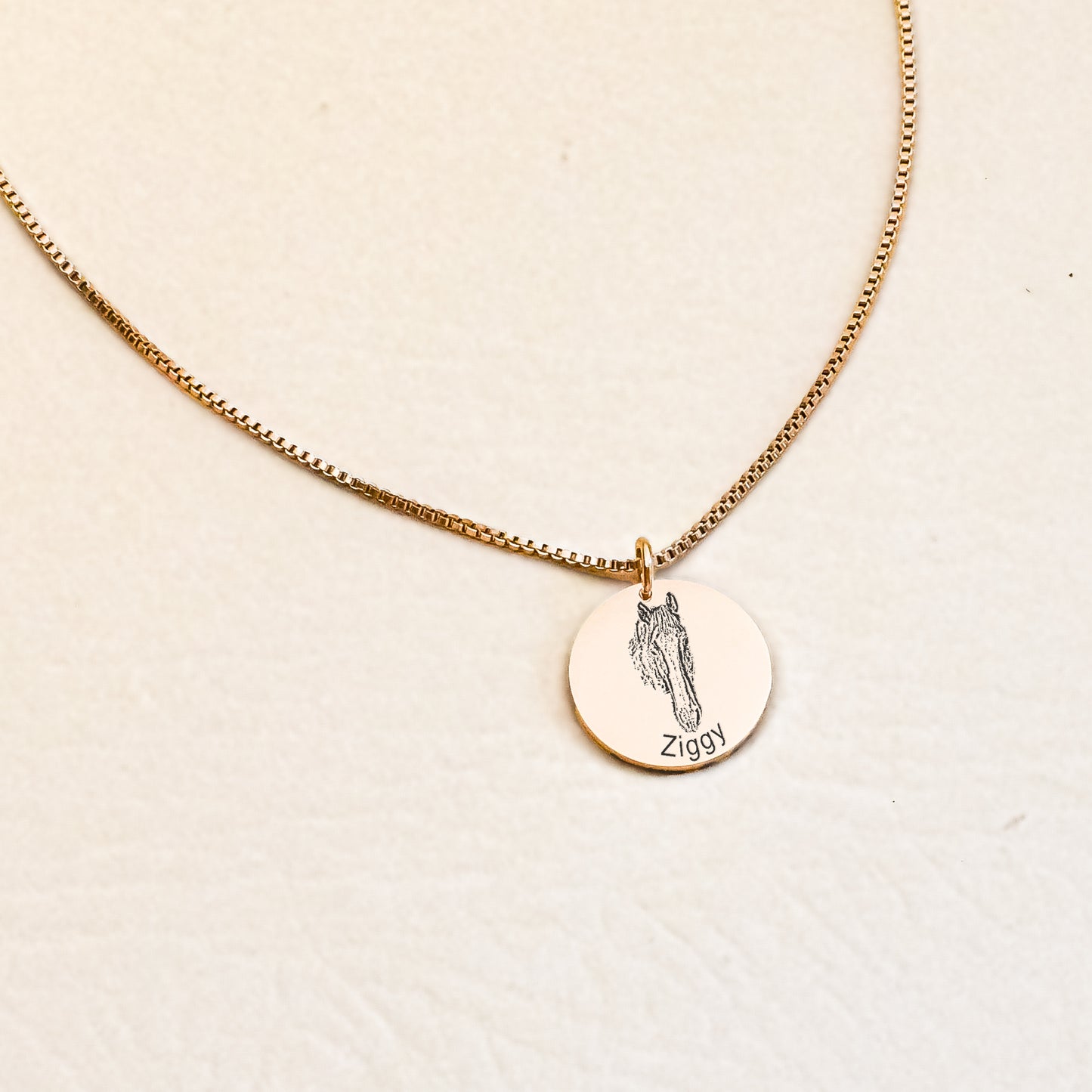Pet Portrait Charm Necklace Box Chain