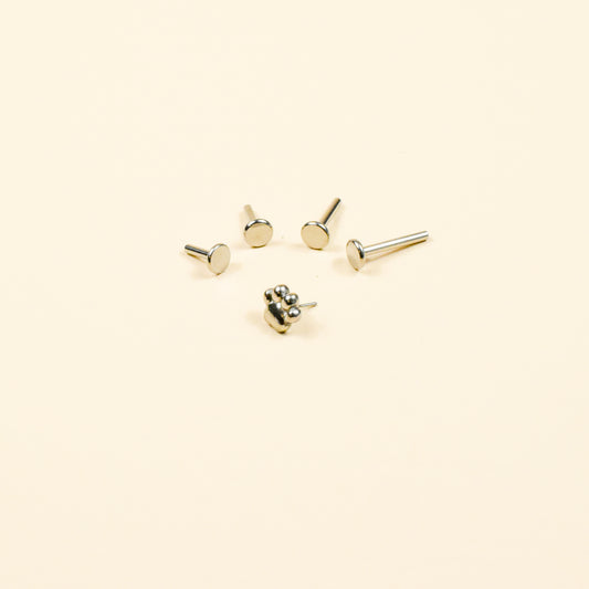 Tiny Paw Print Flat Back