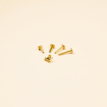 Tiny Skater Flat Back