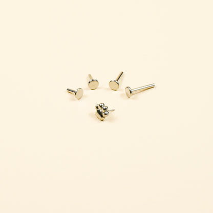 Tiny Paw Print Flat Back