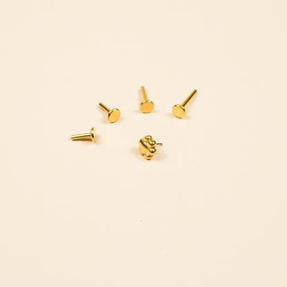 Tiny Paw Print Flat Back