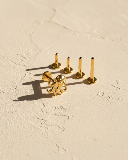Octopus Internally Threaded Stud