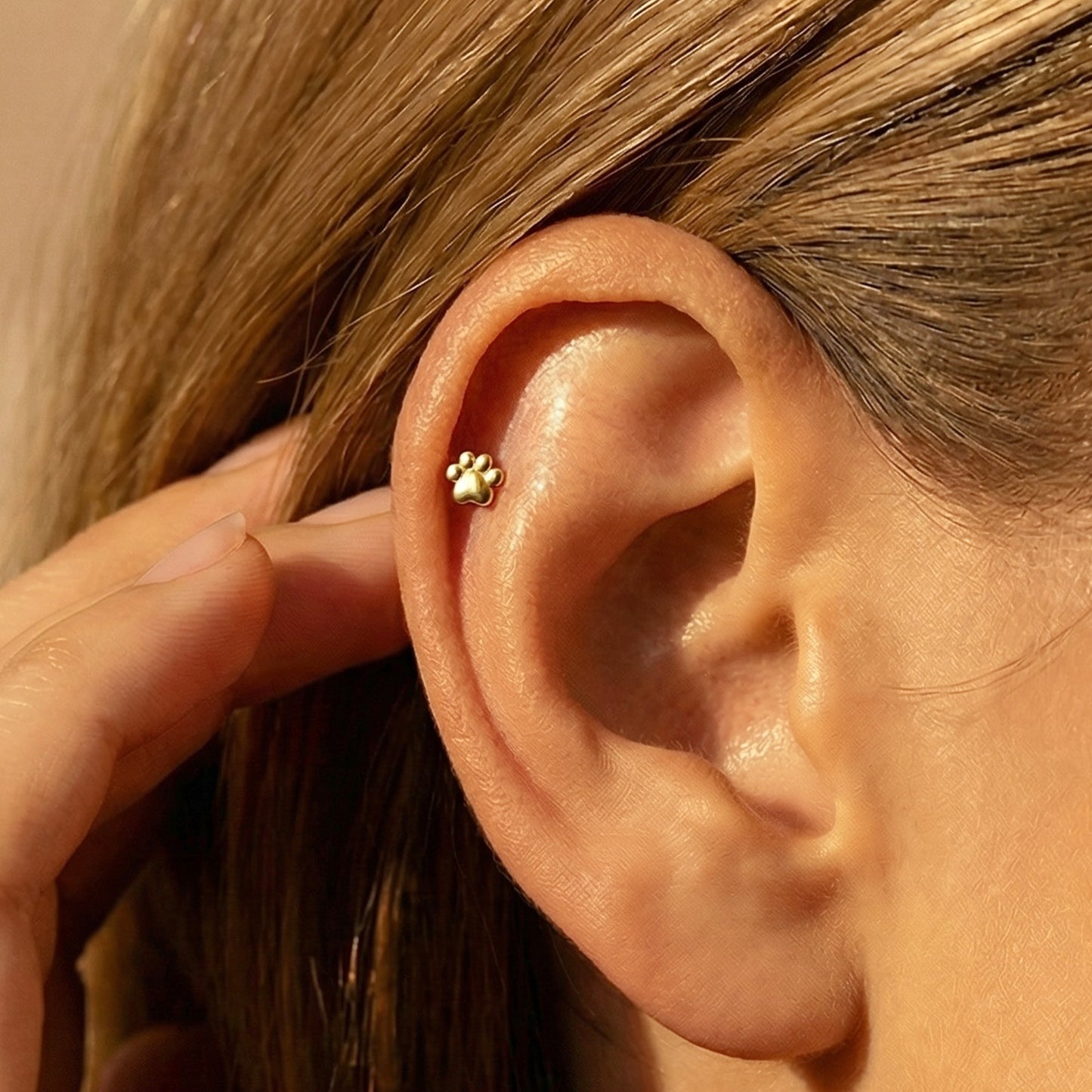 Paw Titanium Threadless Flat Back Stud