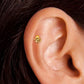 Micro Octopus Internally Threaded Flat Back